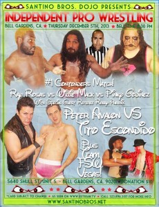 Santino 12-5-13 flyer